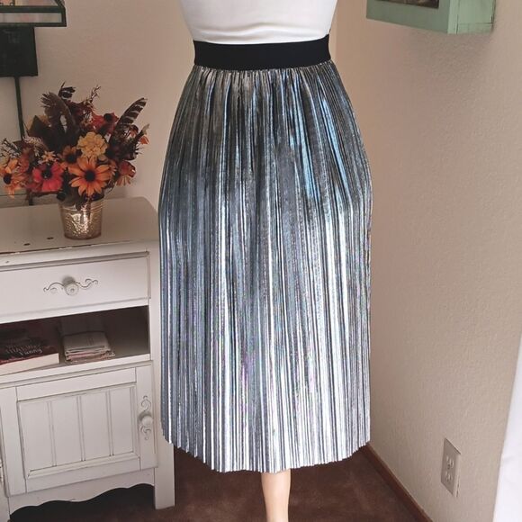 Project Runway Sivery Knife Pleated Skirt - Picture 2 of 9